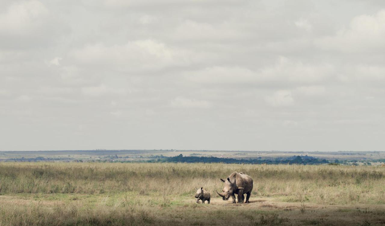 Ololo Safari Lodge Nairobi Eksteriør billede